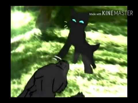 Видео: Синяя Звезда, Невидимка, Камень - молодая кровь