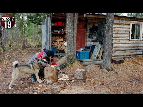 Видео: Как живут люди в глухой тайге Приполярного Урала. Спускаемся до поселка. Обычные будни. 19с