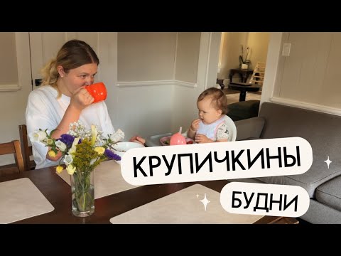 Видео: ЕЩЕ ОДИН ДЕНЬ В АМЕРИКАНСКОМ ДЕКРЕТЕ