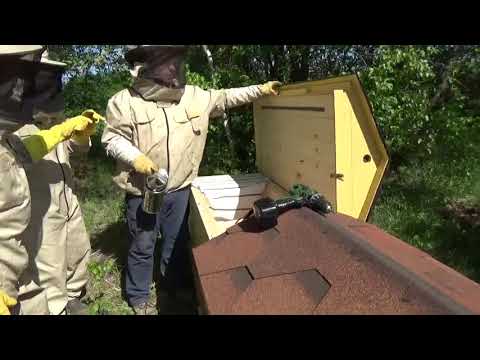 Видео: Пасека под ключ на Владимирских ульях лежаках Эко - доставка, установка, осмотр.