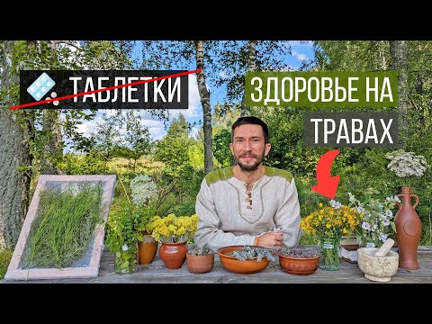 Видео: Травы для здоровья без таблеток: полный путь от А до Я