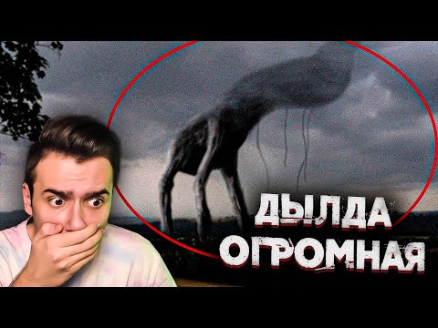 Видео: 10 Гигантских Страшных Монстров, Снятых На Камеру | Страшные Видео на ночь | ЗОМБИ ЧЕЗ | Реакция