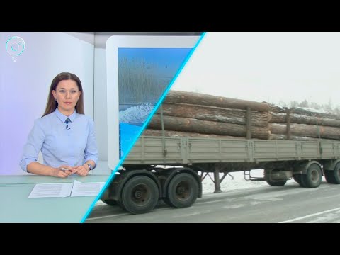 Видео: НОВОСТИ в 18:30 — 19 января 2021 | Телеканал ОТС — новости Новосибирска и области