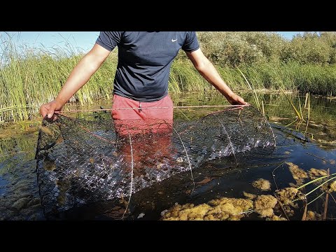 Видео: ВОТ ЧТО БЫВАЕТ КОГДА УГАДАЕШЬ С МЕСТОМ ДЛЯ МОРДУШКИ! ПРИ ПОДЪЕМЕ ВОДА ЗАКИПЕЛА!