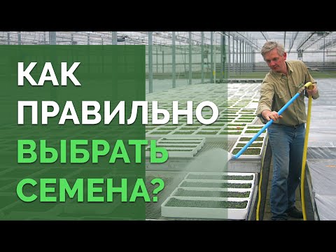 Видео: Как выбирать семена овощей? | Технология изобилия