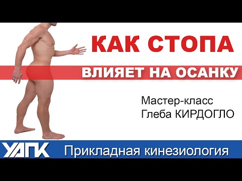 Видео: Как стопа влияет на осанку?