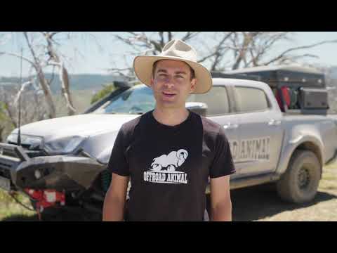 Видео: Видео сборки наилучшего Isuzu Dmax от Offroad Animal