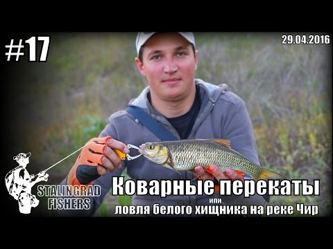 Видео: Коварные перекаты или ловля белого хищника на реке Чир - 29.04.2016