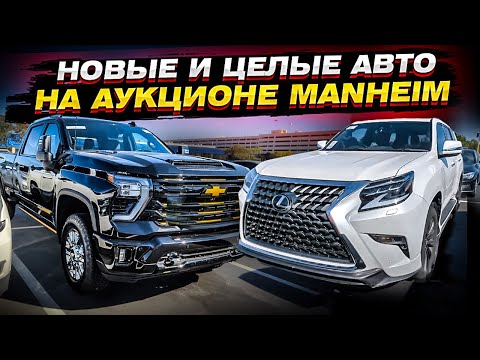 Видео: Аукцион Manheim. Обзор целых и новых авто для покупки из США в Казахстан | Toyota, Lexus, BMW