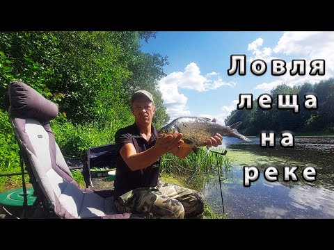 Видео: Ловля леща на реке.