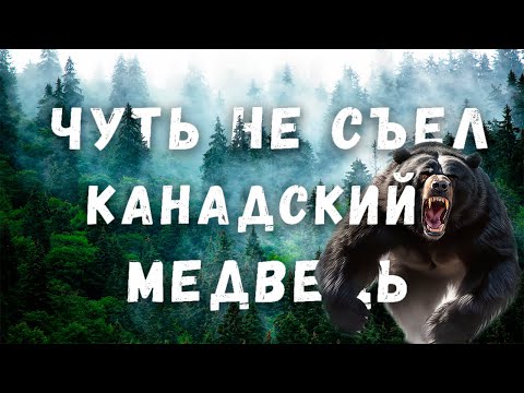 Видео: 🏕️ Наш первый кемпинг в Канаде. 🌲 Thunder Bay, Ontario.