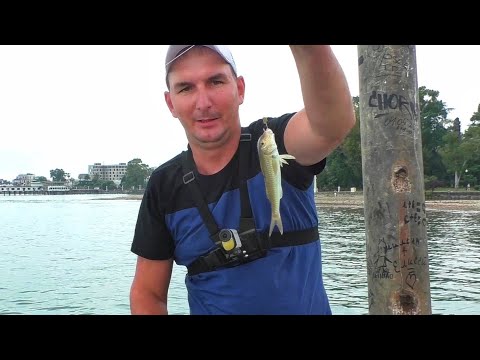 Видео: МОРСКАЯ РЫБАЛКА С НУЛЯ. АБХАЗИЯ - СУХУМ. ЛОВЛЯ БАРАБУЛЬКИ В ЧЕРНОМ МОРЕ С ПИРСА.