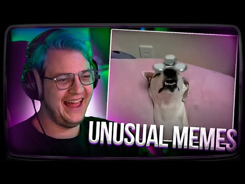 Видео: Пятёрка смотрит | UNUSUAL MEMES COMPILATION V244