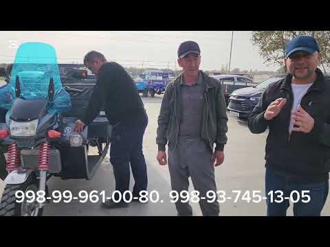 Видео: 13 ноября 2025 г.