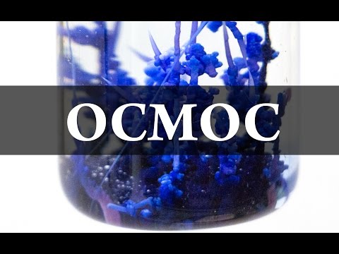 Видео: Осмос. Химический сад. Химия – просто