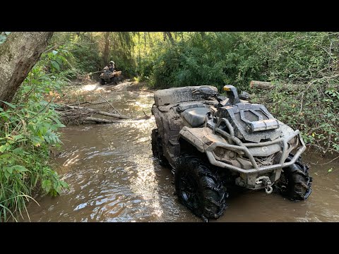 Видео: Сказочный трек Жестоки - Дятлово