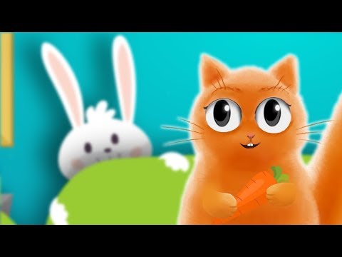 Видео: Новый домашний питомец у котика Джема! Отправляем свинку в школу!