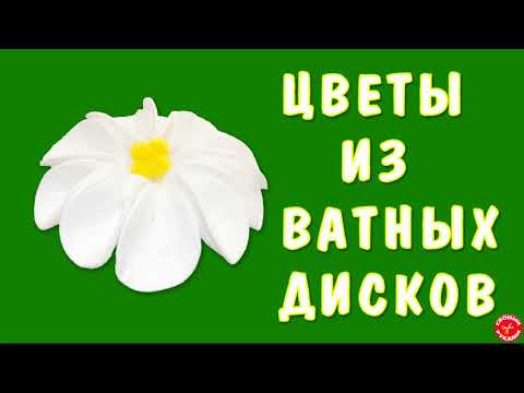 Видео: Объемные цветы из ватных дисков