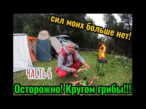 Видео: Часть 6. КАК МЫ ЖИЛИ В УЗУНКОЛЕ. ГОЛОДНЫМИ НЕ ОСТАНЕМСЯ. ГРИБЫ ПОД ЗАПРЕТОМ!