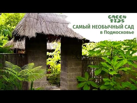 Видео: Самый необычный сад в Подмосковье. Обзор сада