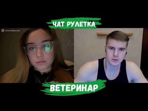 Видео: ВЕТЕРИНАР АЛЕНА