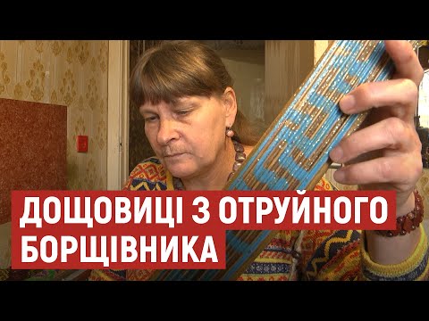 Видео: Лучанка перетворює отруйний борщівник у мелодійні дощовиці
