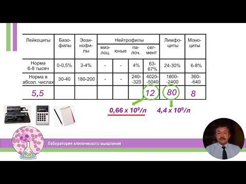 Видео: Почему важно смотреть именно на абсолютное значение лейкоцитов