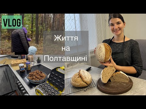 Видео: Vlog: Життя в селі на Полтавщині|| шукаємо гриби 🍄‍🟫курс «Закваска з нуля» 