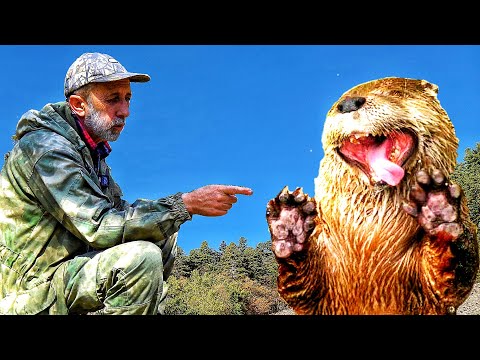 Видео: Это ОН всю рыбу выловил!  Рыбалка на горной реке в Приморском крае.