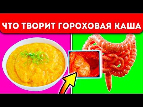 Видео: Гороховая каша вызывает необратимые процессы в теле человека