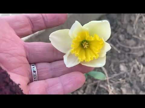 Видео: Посмотрим как дальше будет.