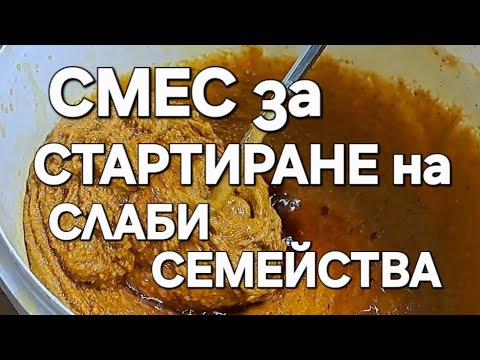 Видео: 04.02.2025г. НАТУРАЛНА , ПРИРОДНА СМЕС за ПОДПОМАГАНЕ на СЛАБИ ПЧЕЛНИ СЕМЕЙСТВА.