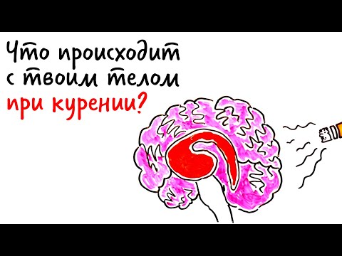 Видео: Что происходит с ТВОИМ ТЕЛОМ при курении? — Научпок