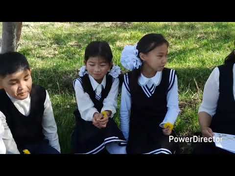 Видео: Жыл мугалими 2025 -жыл