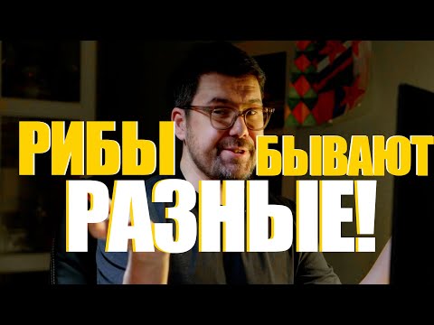 Видео: ДЕРМОВЫЕ РИБЫ! Как выбрать лодку риб чтоб не утонуть. Вся правда о рыбах !