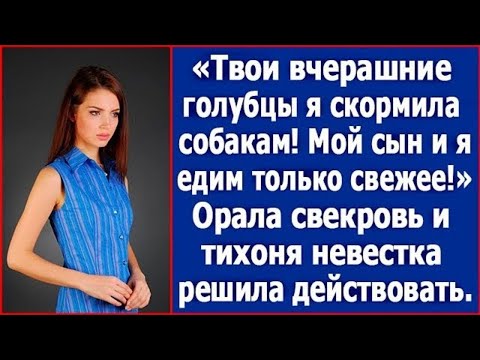 Видео: "Твои вчерашние голубцы я скормила собакам!" - орала свекровь. Тихоня невестка решила действовать.