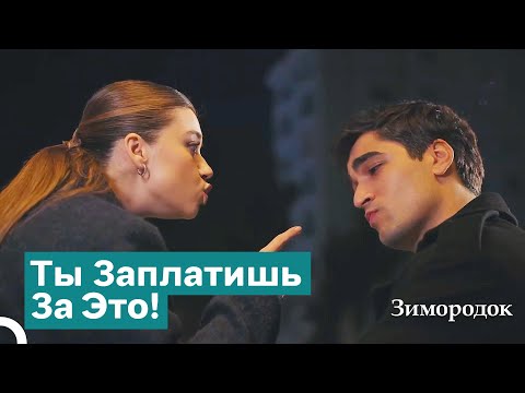 Видео: Жесткая Угроза От Сейран Фериту | Зимородок