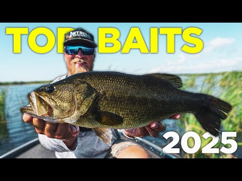 Видео: Лучшие приманки, на которые я поймал самого крупного окуня в 2025 году (как на них ловить)