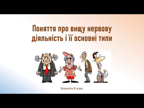 Видео: Біологія людини. Поняття про вищу нервову діяльність і її основні типи