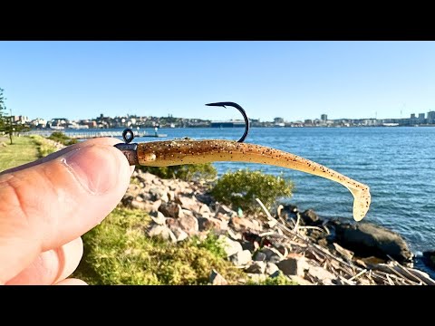 Видео: Флэтхед ест микропластик, как конфеты! (рыбалка на суше, NWS)