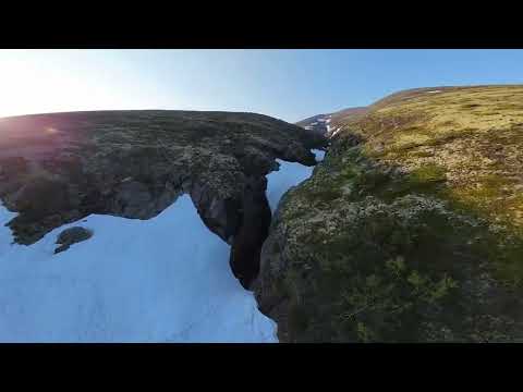 Видео: Ласточкин хвост