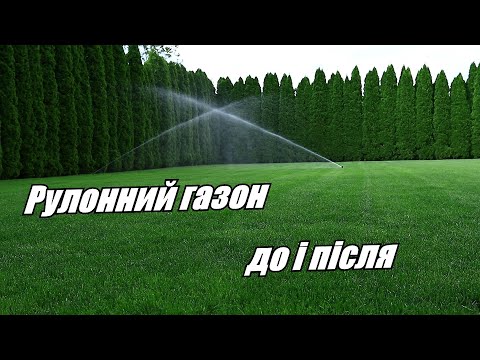 Видео: Рулонний газон. До і після