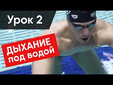 Видео: КАК ПРАВИЛЬНО ДЫШАТЬ В ПЛАВАНИИ (Это легко!)