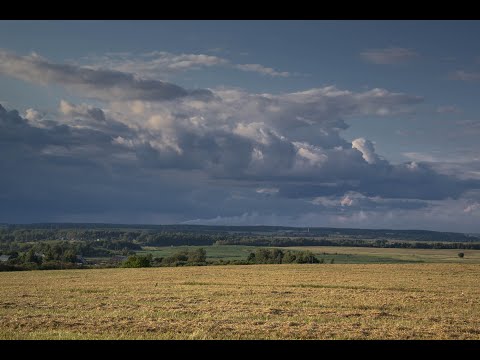 Видео: Часть 1. д. Брюхово - Дубровно - Осинторф.