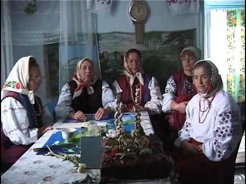 Видео: Древо. Весілля 3 - Коментарі