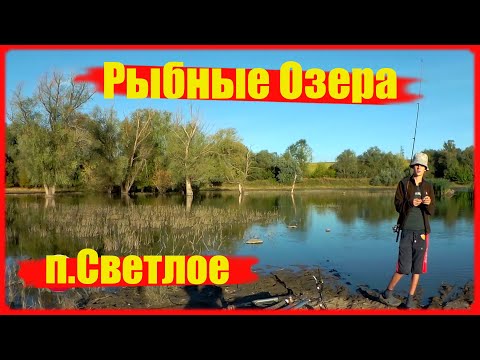 Видео: КАМЕНСКОЕ п. Светлое КЛАССНОЕ МЕСТО ДЛЯ ОТДЫХА И РЫБАЛКИ