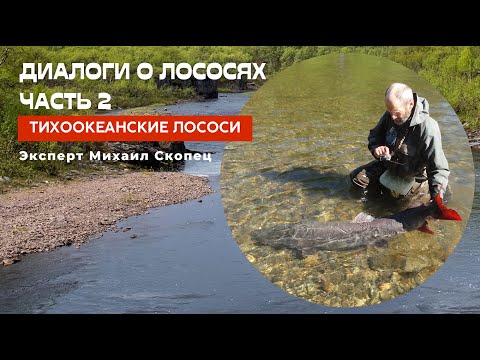 Видео: Диалоги о лососях. Часть 2