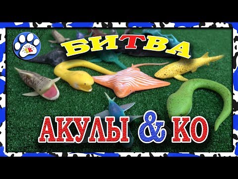 Видео: БИТВА АКУЛЫ и КО ДЕАГОСТИНИ НОВАЯ ВЕРСИЯ 2018 🦈🐋🦈