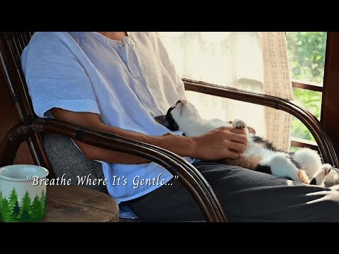 Видео: Дышите там, где нежно.../плейлист для тихих часов/