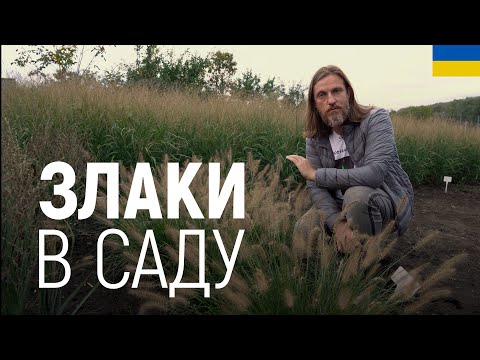 Видео: ЛАНДШАФТНИЙ ДИЗАЙН | ЗЛАКИ В САДУ